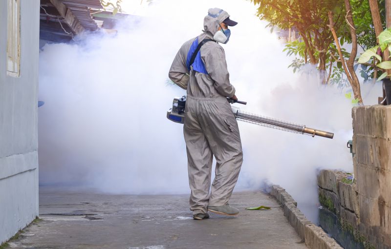 Signs Your Property Needs Professional Mosquito Or Fly Treatment