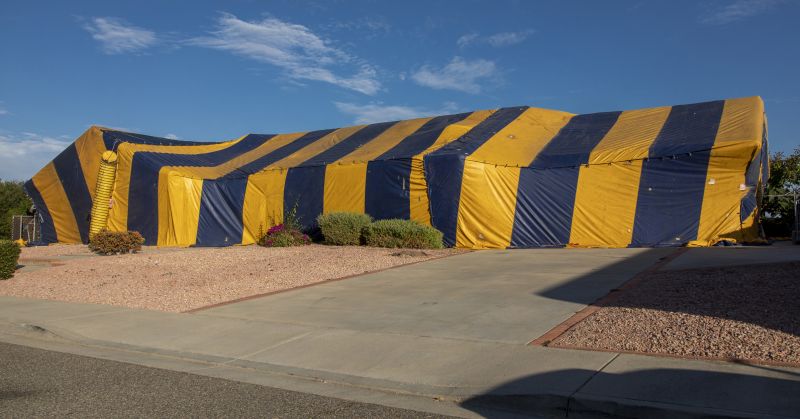 Termite Tenting in Coeur D Alene, ID