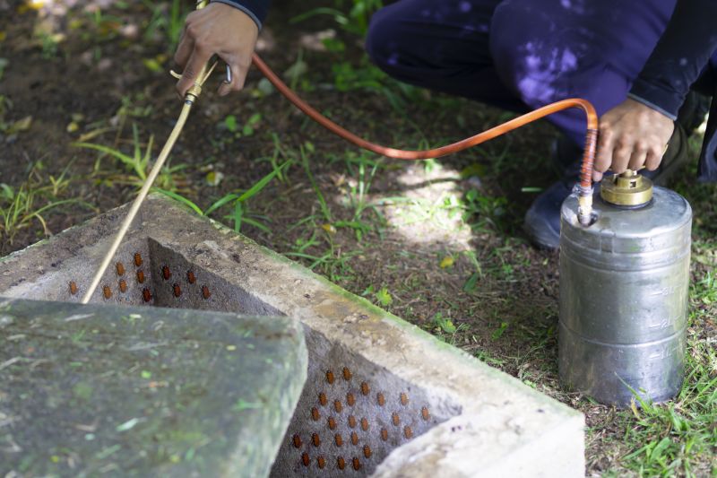 Pest Fumigation Service in Fort Collins, CO