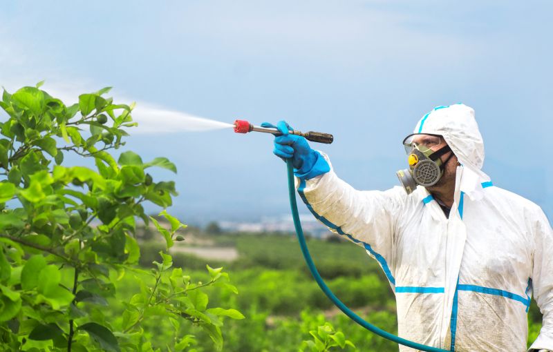 Roach Fumigation in Davis County, UT