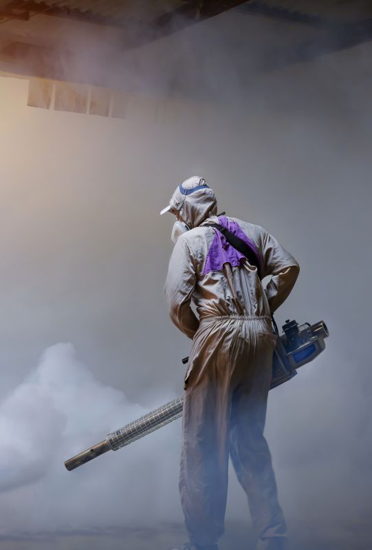 Roach Fumigation in Asheville, NC
